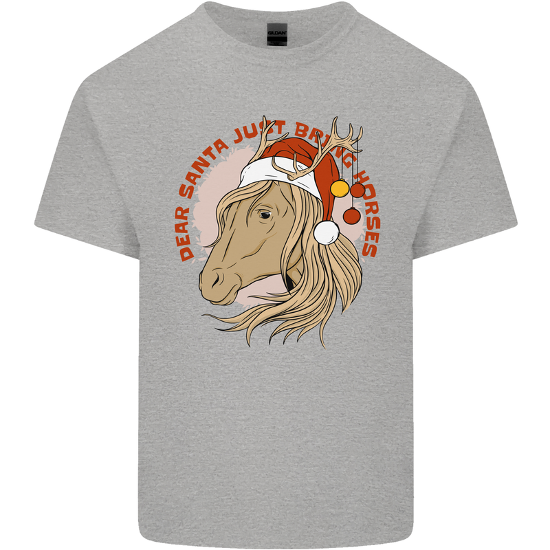 Equestrian Dear Santa Funny Horse Christmas Kids T-Shirt Childrens Sports Grey