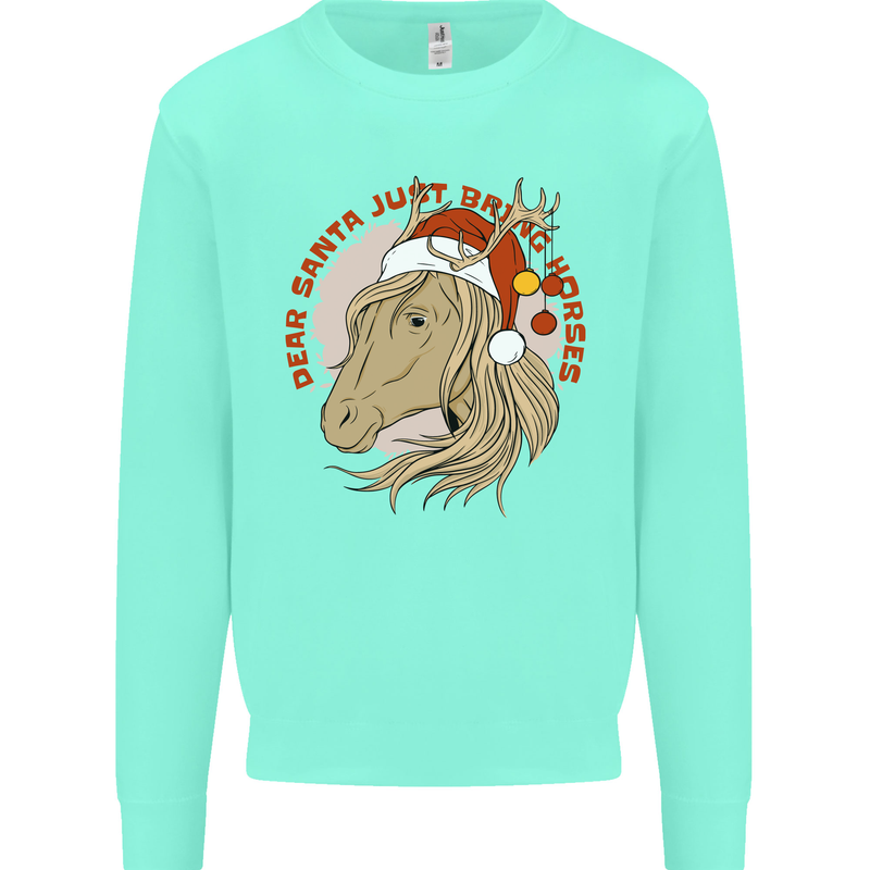 Equestrian Dear Santa Funny Horse Christmas Mens Sweatshirt Jumper Peppermint