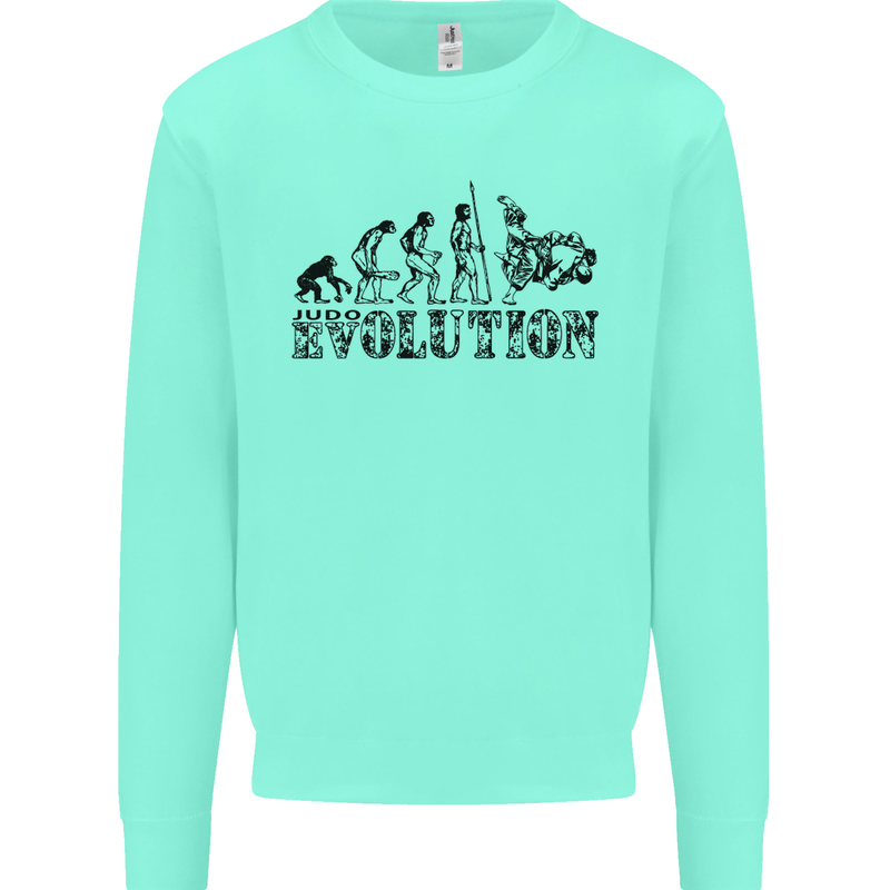 Evolution of Judo MMA Martial Arts Funny Kids Sweatshirt Jumper Peppermint