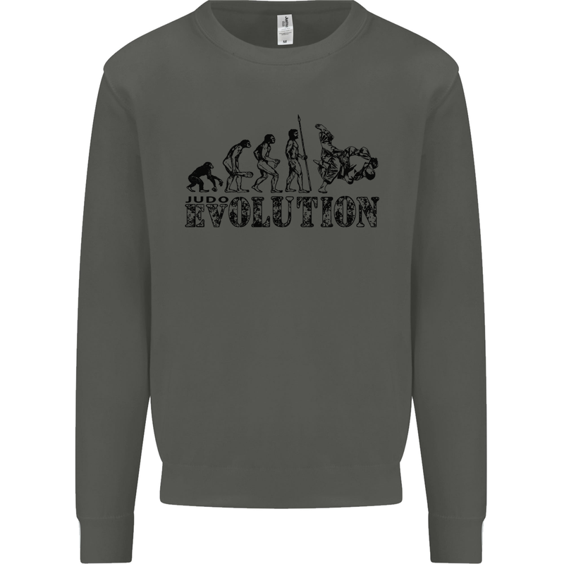 Evolution of Judo MMA Martial Arts Funny Kids Sweatshirt Jumper Storm Grey