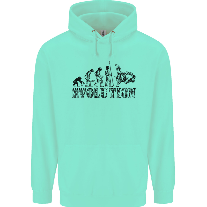 Evolution of Judo MMA Martial Arts Funny Mens 80% Cotton Hoodie Peppermint