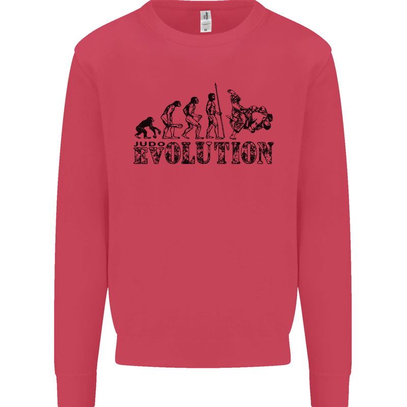 Evolution of Judo MMA Martial Arts Funny Mens Sweatshirt Jumper Heliconia