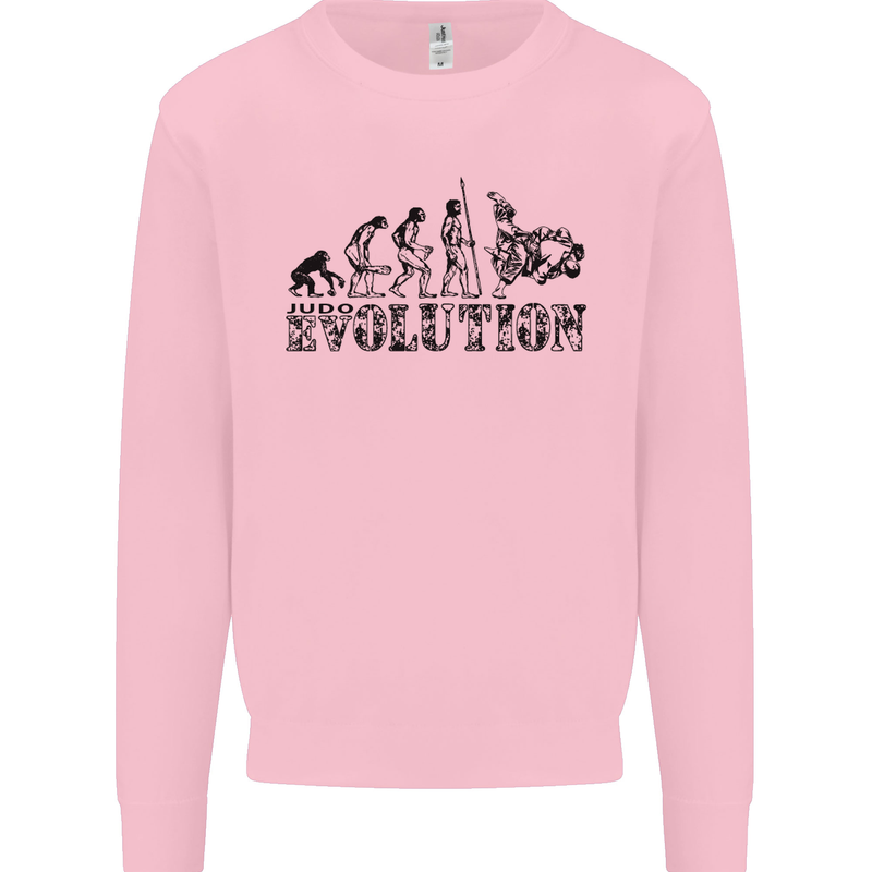 Evolution of Judo MMA Martial Arts Funny Mens Sweatshirt Jumper Light Pink