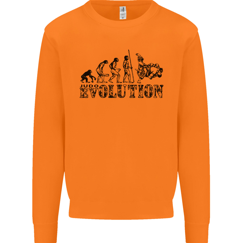 Evolution of Judo MMA Martial Arts Funny Mens Sweatshirt Jumper Orange