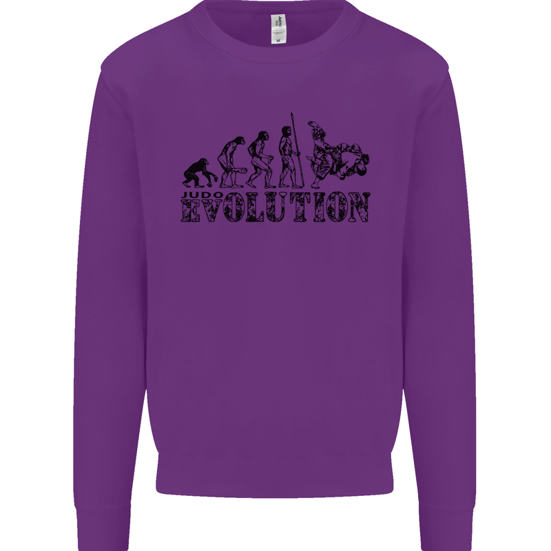 Evolution of Judo MMA Martial Arts Funny Mens Sweatshirt Jumper Purple
