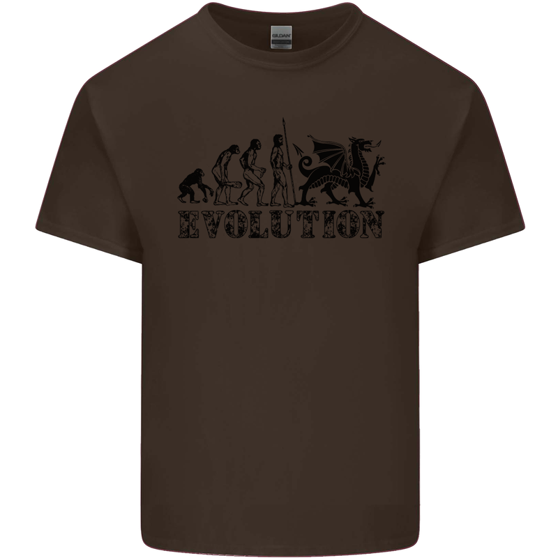 Evolution of Welsh Rugby Player Union Funny Kids T-Shirt Childrens Chocolate