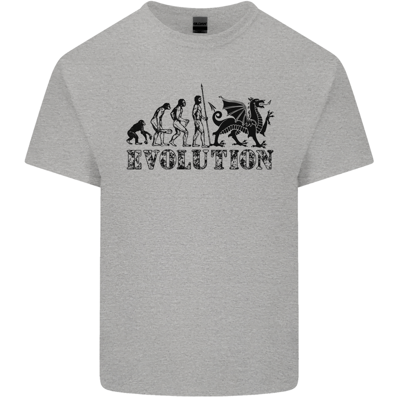 Evolution of Welsh Rugby Player Union Funny Mens Cotton T-Shirt Tee Top Sports Grey