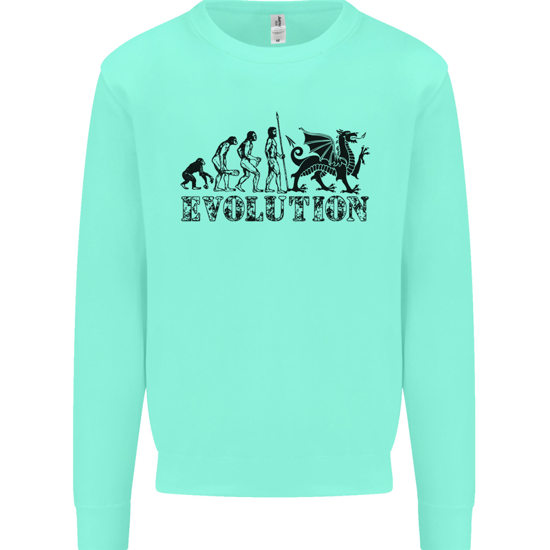 Evolution of Welsh Rugby Player Union Funny Mens Sweatshirt Jumper Peppermint