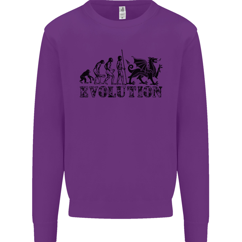 Evolution of Welsh Rugby Player Union Funny Mens Sweatshirt Jumper Purple