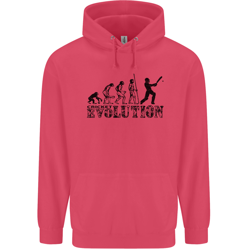 Evolution of a Cricketer Cricket Funny Childrens Kids Hoodie Heliconia