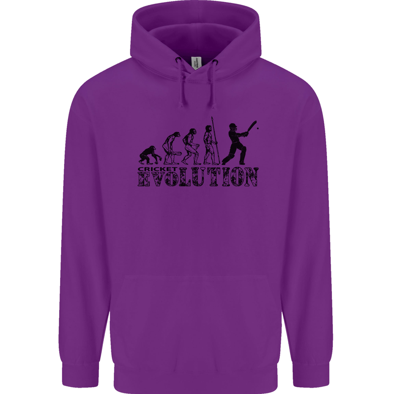 Evolution of a Cricketer Cricket Funny Childrens Kids Hoodie Purple