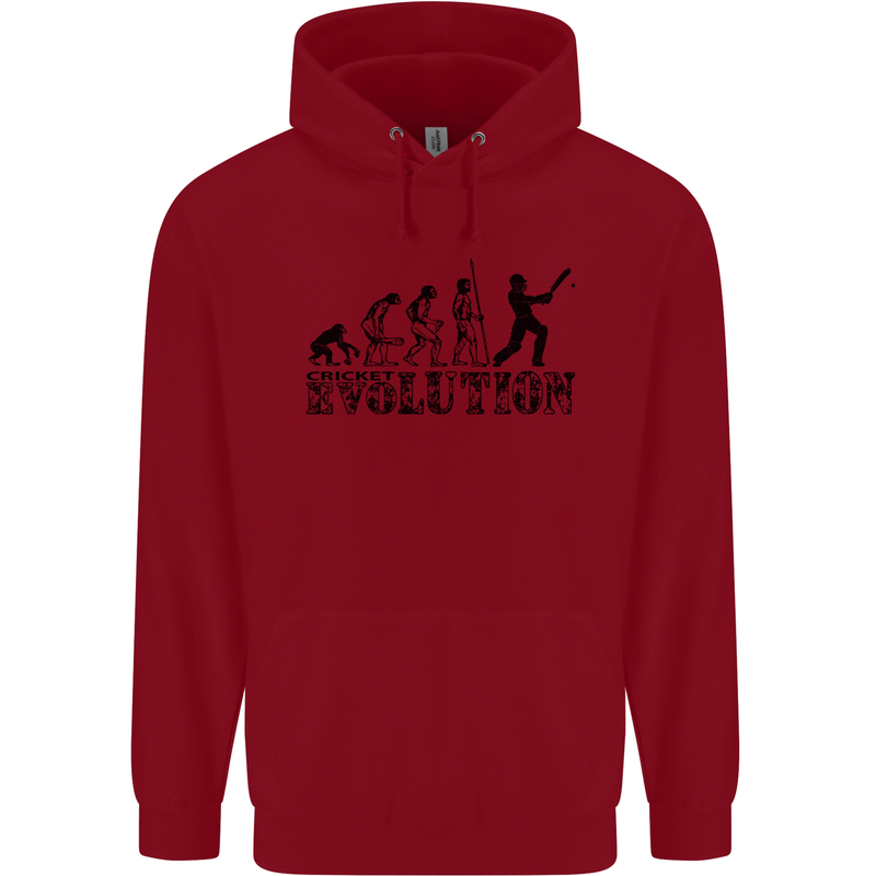Evolution of a Cricketer Cricket Funny Childrens Kids Hoodie Red
