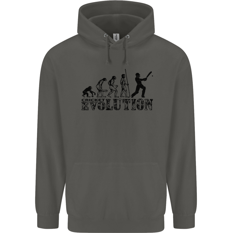 Evolution of a Cricketer Cricket Funny Childrens Kids Hoodie Storm Grey