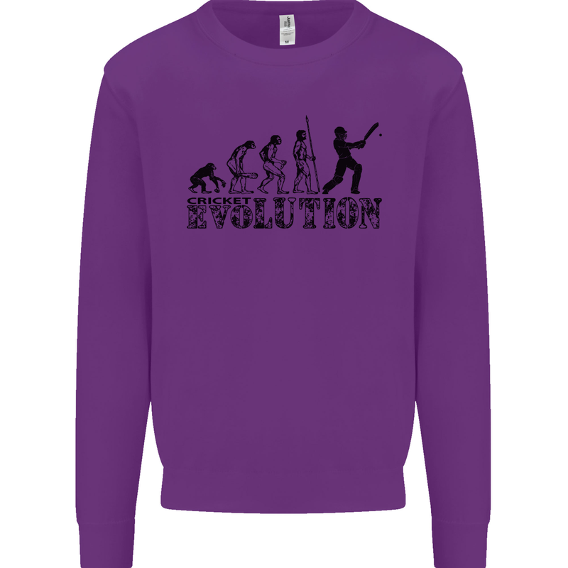 Evolution of a Cricketer Cricket Funny Kids Sweatshirt Jumper Purple