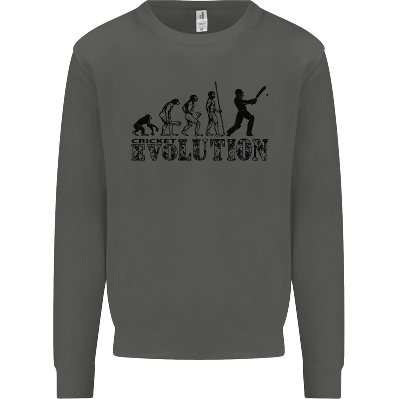 Evolution of a Cricketer Cricket Funny Kids Sweatshirt Jumper Storm Grey