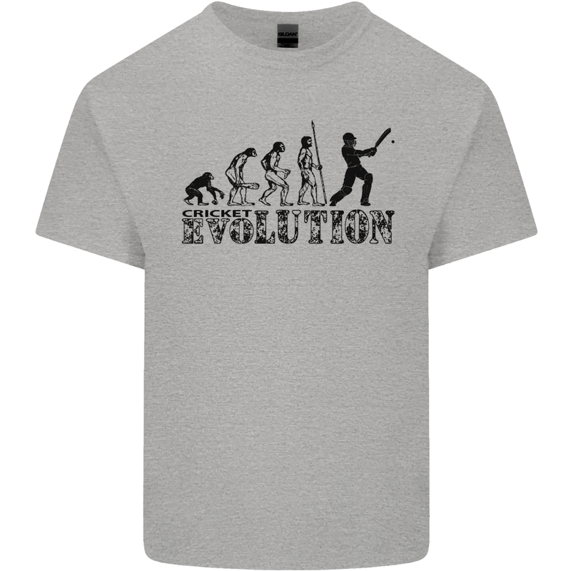 Evolution of a Cricketer Cricket Funny Mens Cotton T-Shirt Tee Top Sports Grey