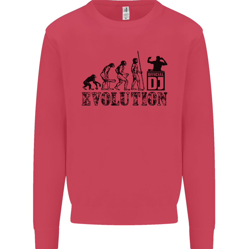 Evolution of a DJ Music DJing Vinyl Decks Kids Sweatshirt Jumper Heliconia