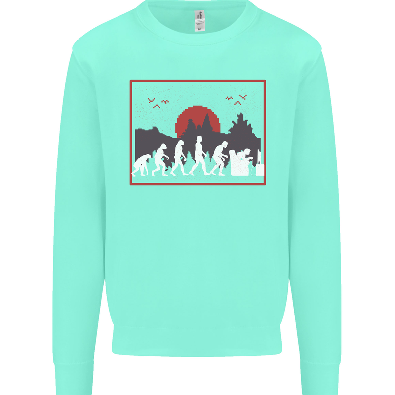 Evolution of a Gamer Gaming Video Games Kids Sweatshirt Jumper Peppermint