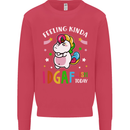 Feeling IDGAF Today Funny Offensive Unicorn Mens Sweatshirt Jumper Heliconia