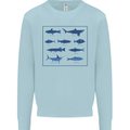 Fish Species Fishing Fisherman Shark Kids Sweatshirt Jumper Light Blue