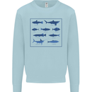 Fish Species Fishing Fisherman Shark Kids Sweatshirt Jumper Light Blue