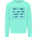 Fish Species Fishing Fisherman Shark Kids Sweatshirt Jumper Peppermint