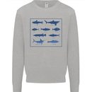 Fish Species Fishing Fisherman Shark Kids Sweatshirt Jumper Sports Grey