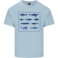 Fish Species Fishing Fisherman Shark Kids T-Shirt Childrens Light Blue