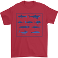 Fish Species Fishing Fisherman Shark Mens T-Shirt 100% Cotton Red