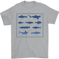 Fish Species Fishing Fisherman Shark Mens T-Shirt 100% Cotton Sports Grey