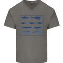 Fish Species Fishing Fisherman Shark Mens V-Neck Cotton T-Shirt Charcoal