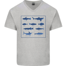 Fish Species Fishing Fisherman Shark Mens V-Neck Cotton T-Shirt Sports Grey