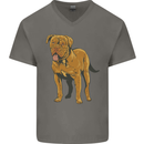 French Mastiff Dogue Bordeaux Dog Mens V-Neck Cotton T-Shirt Charcoal