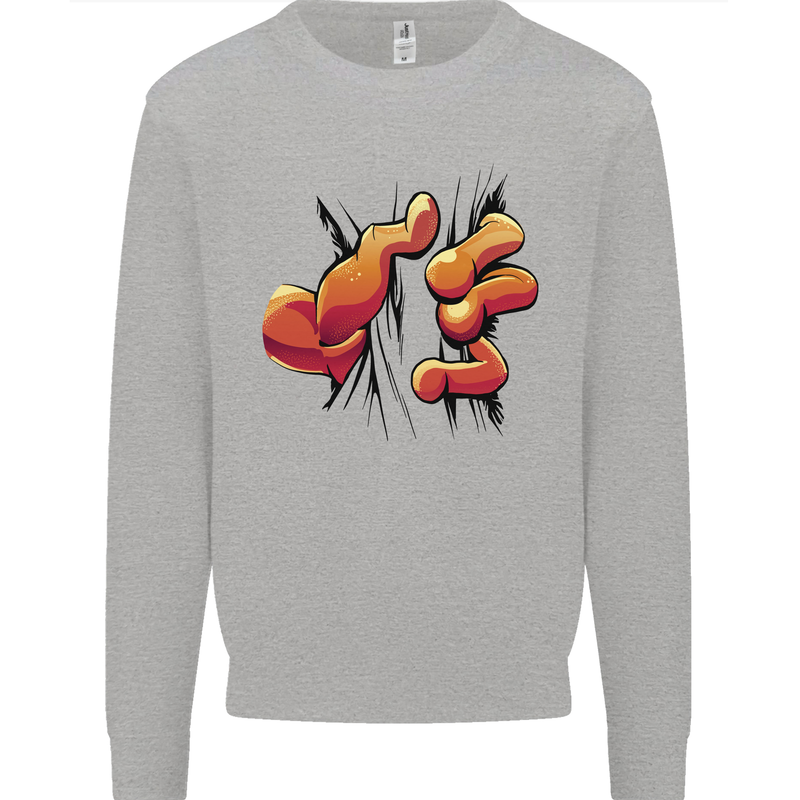 Frog Hand Scrunching Material Kids Sweatshirt Jumper Sports Grey