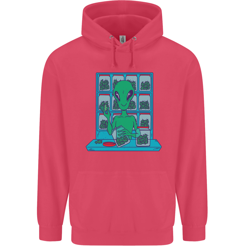 Funny Alien Drug Dealer Weed Childrens Kids Hoodie Heliconia