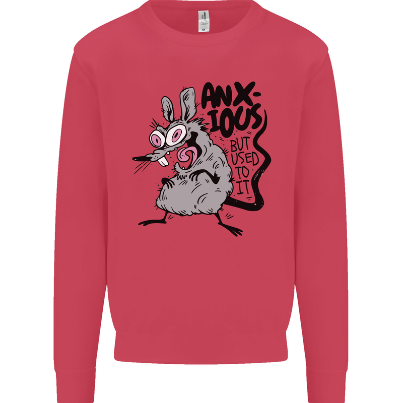 Funny Anxious Rat Anxiety Kids Sweatshirt Jumper Heliconia
