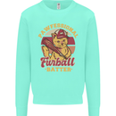 Funny Baseball Cat Furball Batter Kids Sweatshirt Jumper Peppermint