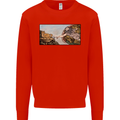 Funny Cat Creation Kids Sweatshirt Jumper Bright Red