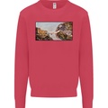Funny Cat Creation Kids Sweatshirt Jumper Heliconia