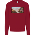 Funny Cat Creation Kids Sweatshirt Jumper Red