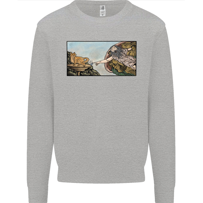 Funny Cat Creation Kids Sweatshirt Jumper Sports Grey