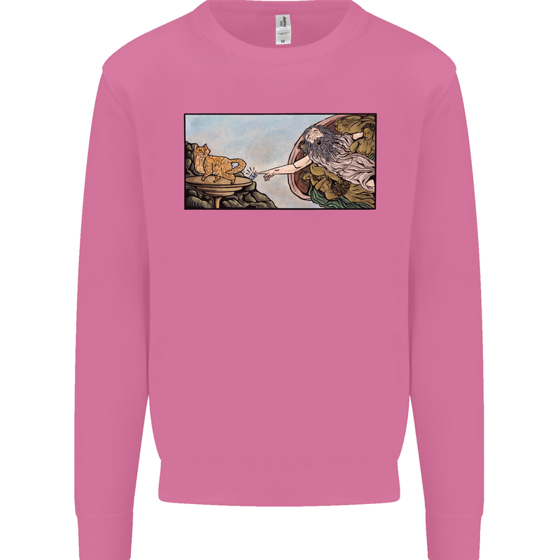 Funny Cat Creation Mens Sweatshirt Jumper Azalea