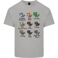 Funny Cat Superheroes Kids T-Shirt Childrens Sports Grey