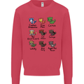 Funny Cat Superheroes Mens Sweatshirt Jumper Heliconia