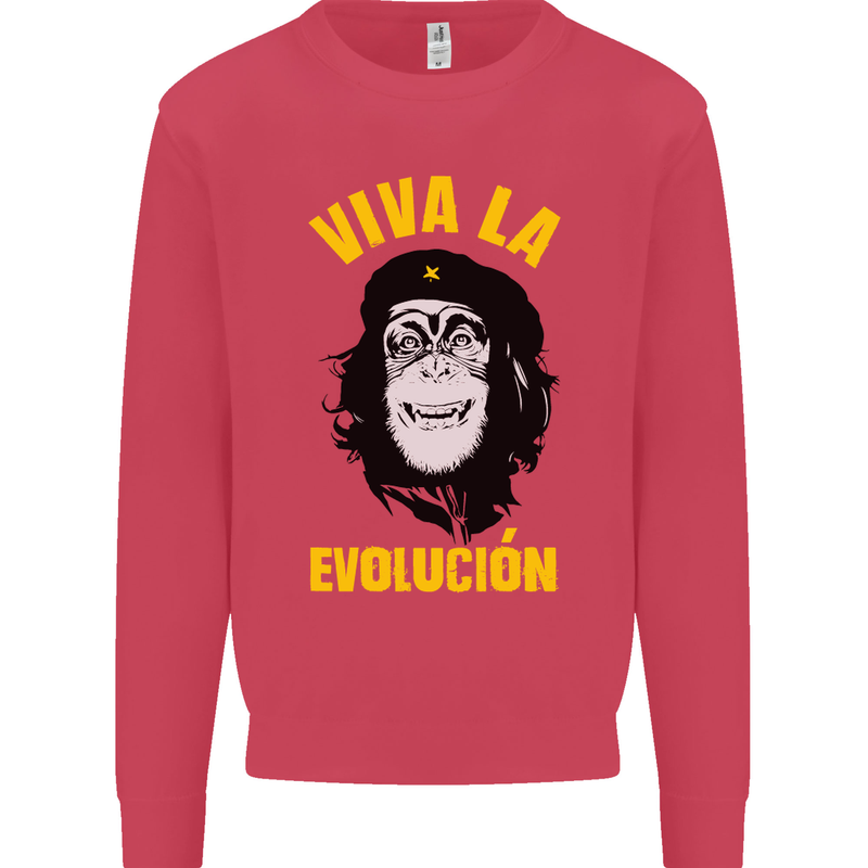 Funny Che Guevara Evolution Monkey Atheist Kids Sweatshirt Jumper Heliconia