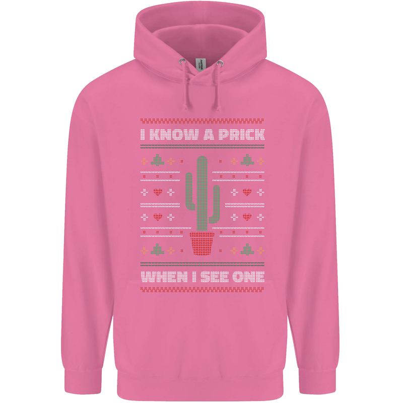 Funny Christmas Cactus Prick Mens 80% Cotton Hoodie Azelea
