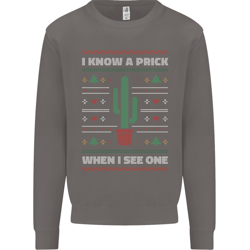 Funny Christmas Cactus Prick Mens Sweatshirt Jumper Charcoal