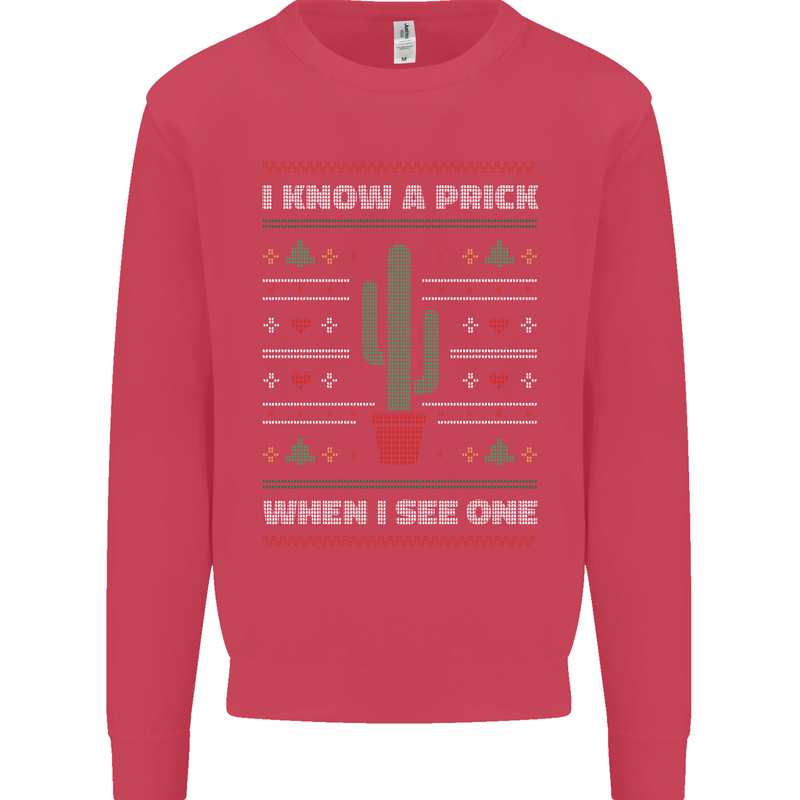 Funny Christmas Cactus Prick Mens Sweatshirt Jumper Heliconia