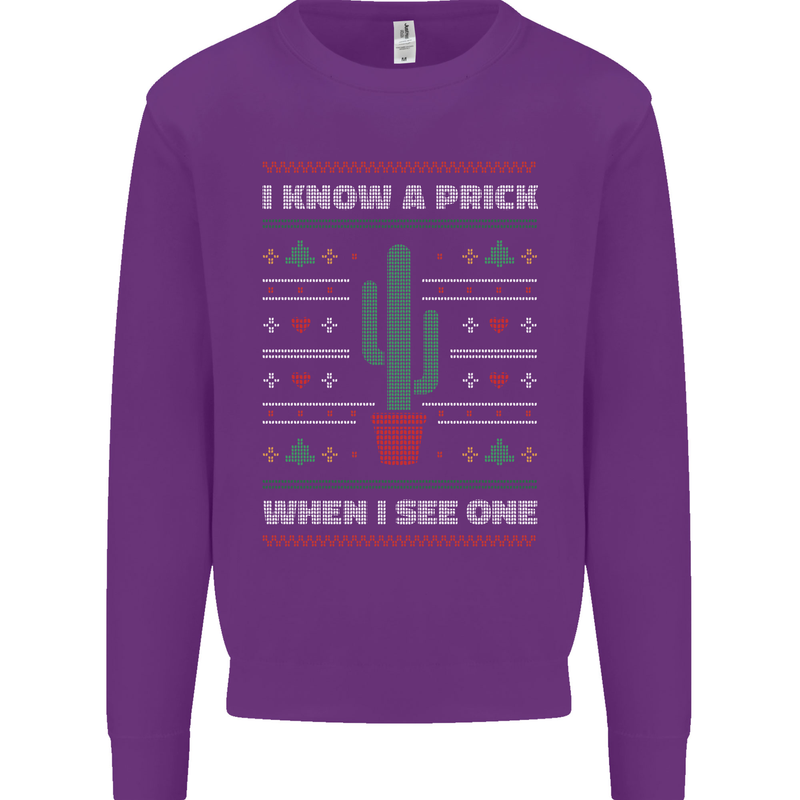 Funny Christmas Cactus Prick Mens Sweatshirt Jumper Purple