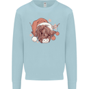 Funny Christmas Highland Cow Santa Hat Kids Sweatshirt Jumper Light Blue